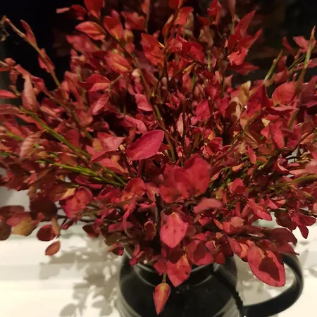 Villa Fjara Sleeps 34