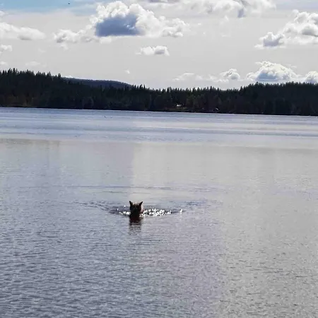 Fjara Sleeps 34 * Stange