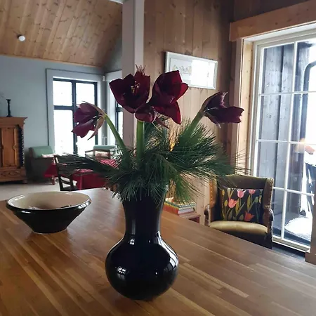 Fjara Sleeps 34 Stange