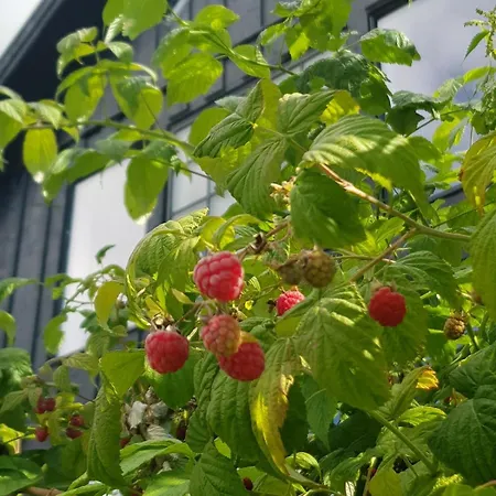 Fjara Sleeps 34 * Stange