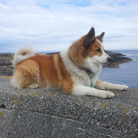 Villa Fjara Sleeps 34 Stange