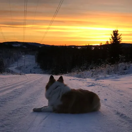 Fjara Sleeps 34 Villa