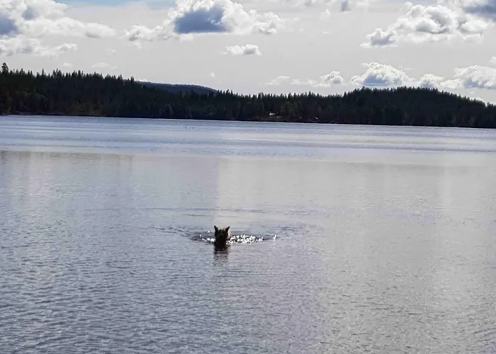 Fjara Sleeps 34 * Stange