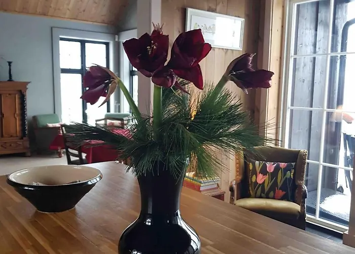 Fjara Sleeps 34 Stange