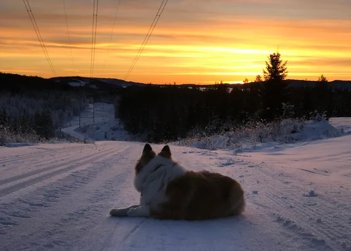 Fjara Sleeps 34 Willa