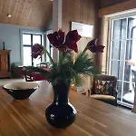 Fjara Sleeps 34 Stange
